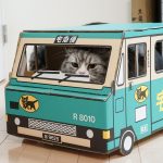 ねこの宅急便